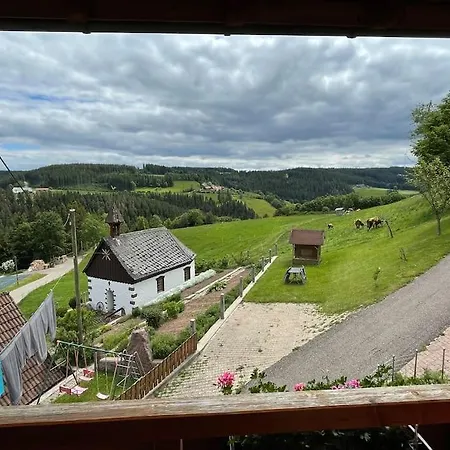Kaeppelehof Apartment Schramberg